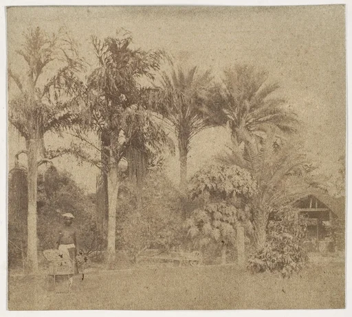 [Gardens, Government House, Allahabad]
