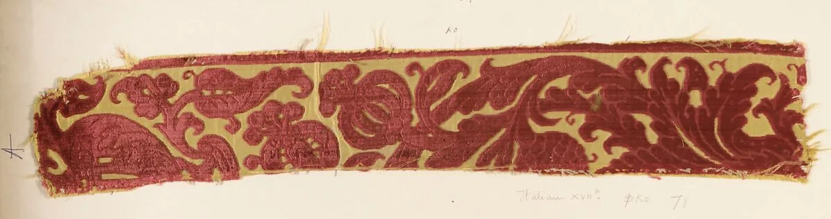 Fragment — Unknown