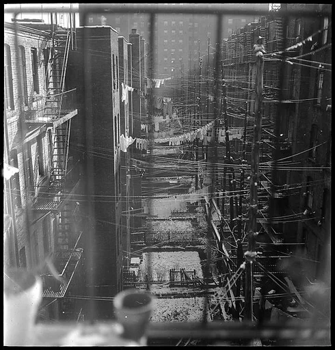 [18 Views of Cat and Fire Escapes, New York City]