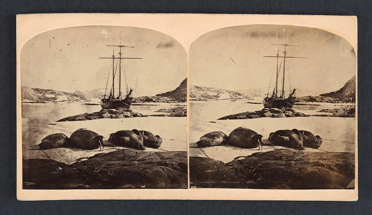 Scène de la mer glacial — Isaac Israel Hayes