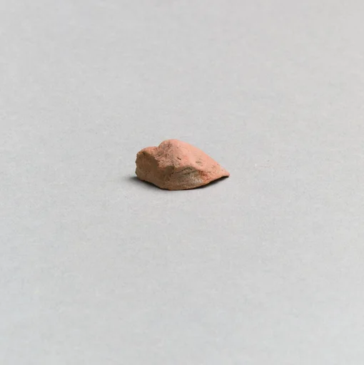 Vase fragment