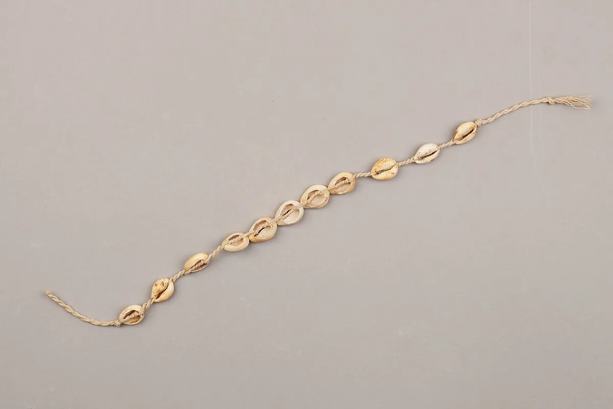 String of cowrie shell beads on fiber — Unknown