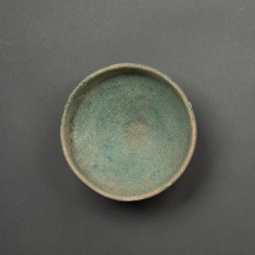 Dish