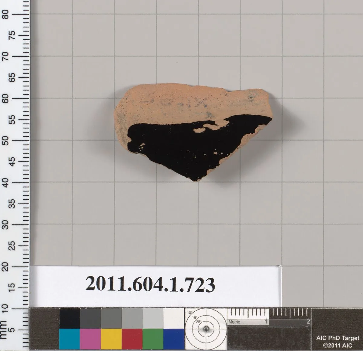 Terracotta fragment of a kylix (drinking cup) — Unknown