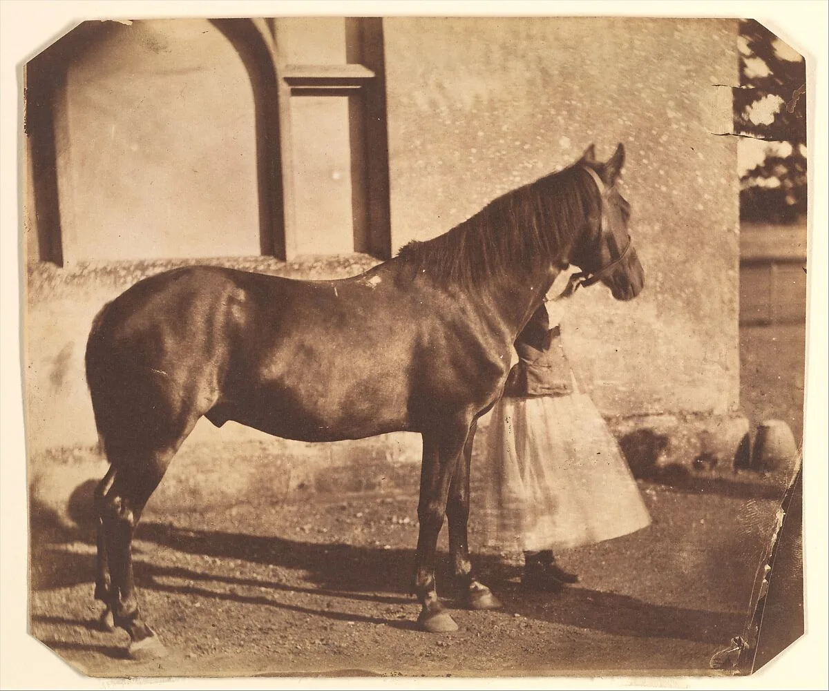 Sultan — Nevil Story Maskelyne