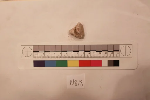 Stucco Fragment