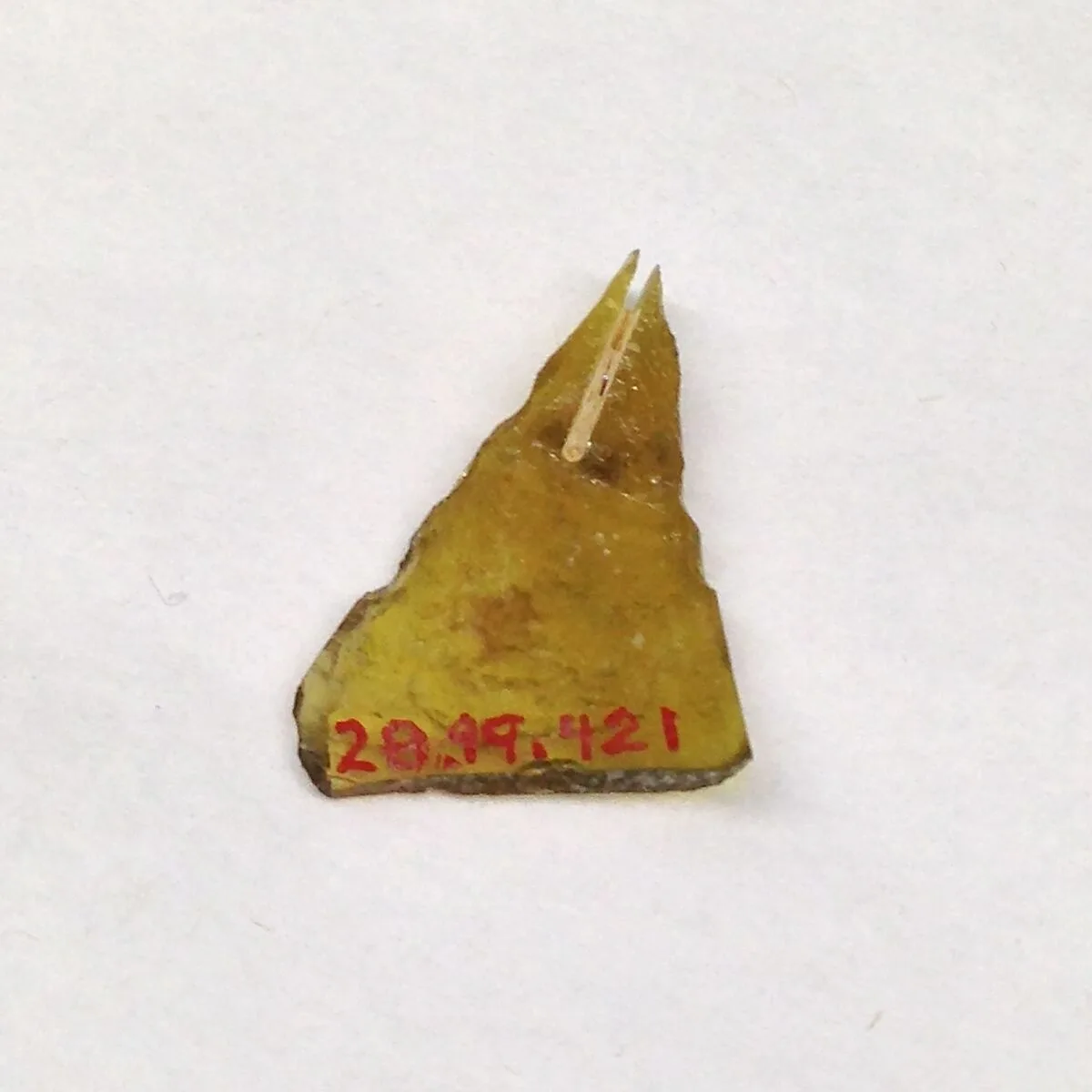 Fragment — Unknown