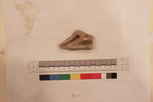 Stucco Fragment