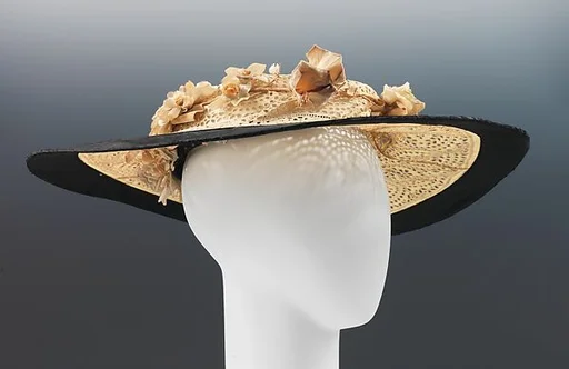 Picture hat