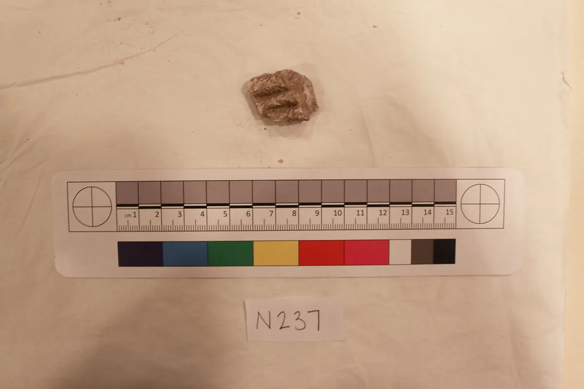 Stucco Fragment — Unknown