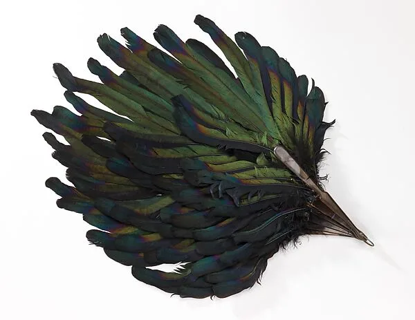 Fan — Unknown