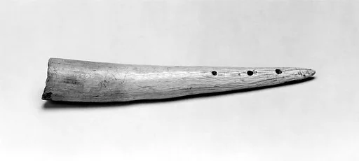 Horn