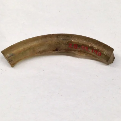 Fragment