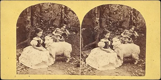 [Group of 31 Stereograph Views of Children With Animals]