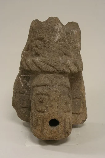 Head