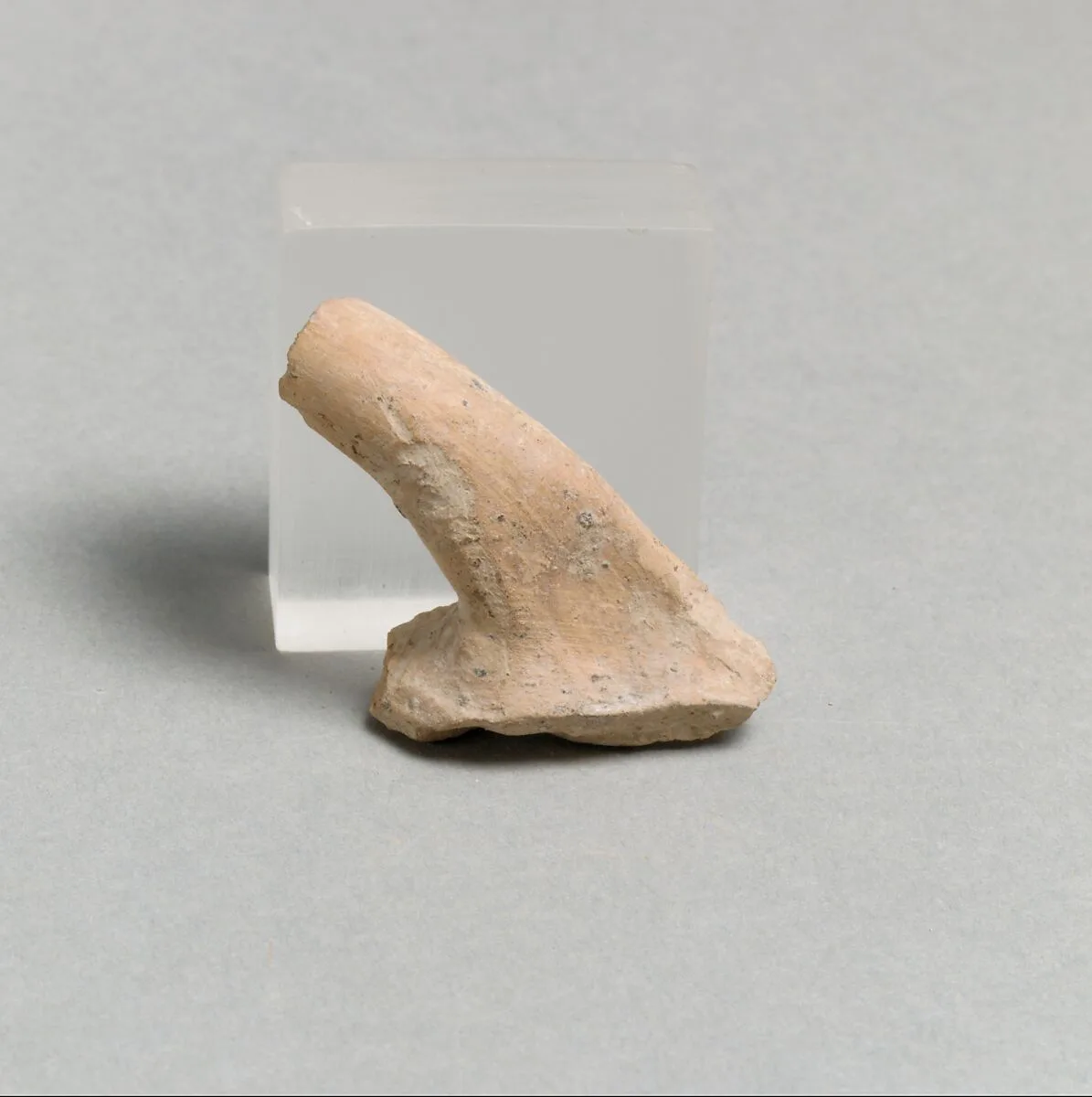 Vase fragment — Unknown