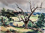 Near Wittenburg (New York) — John W. Taylor