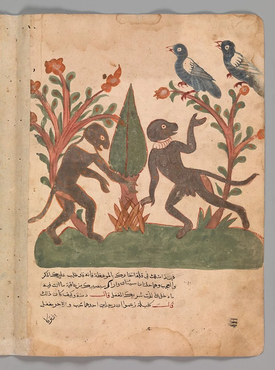 "The Birds and the Monkeys with the Glow Worm", Folio from a Kalila wa Dimna — Unknown