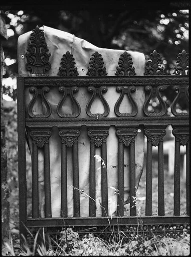 [Cast-Iron Fence Detail, New Orleans, Louisiana]