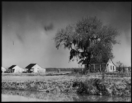 [Houses from Road, Louisiana]