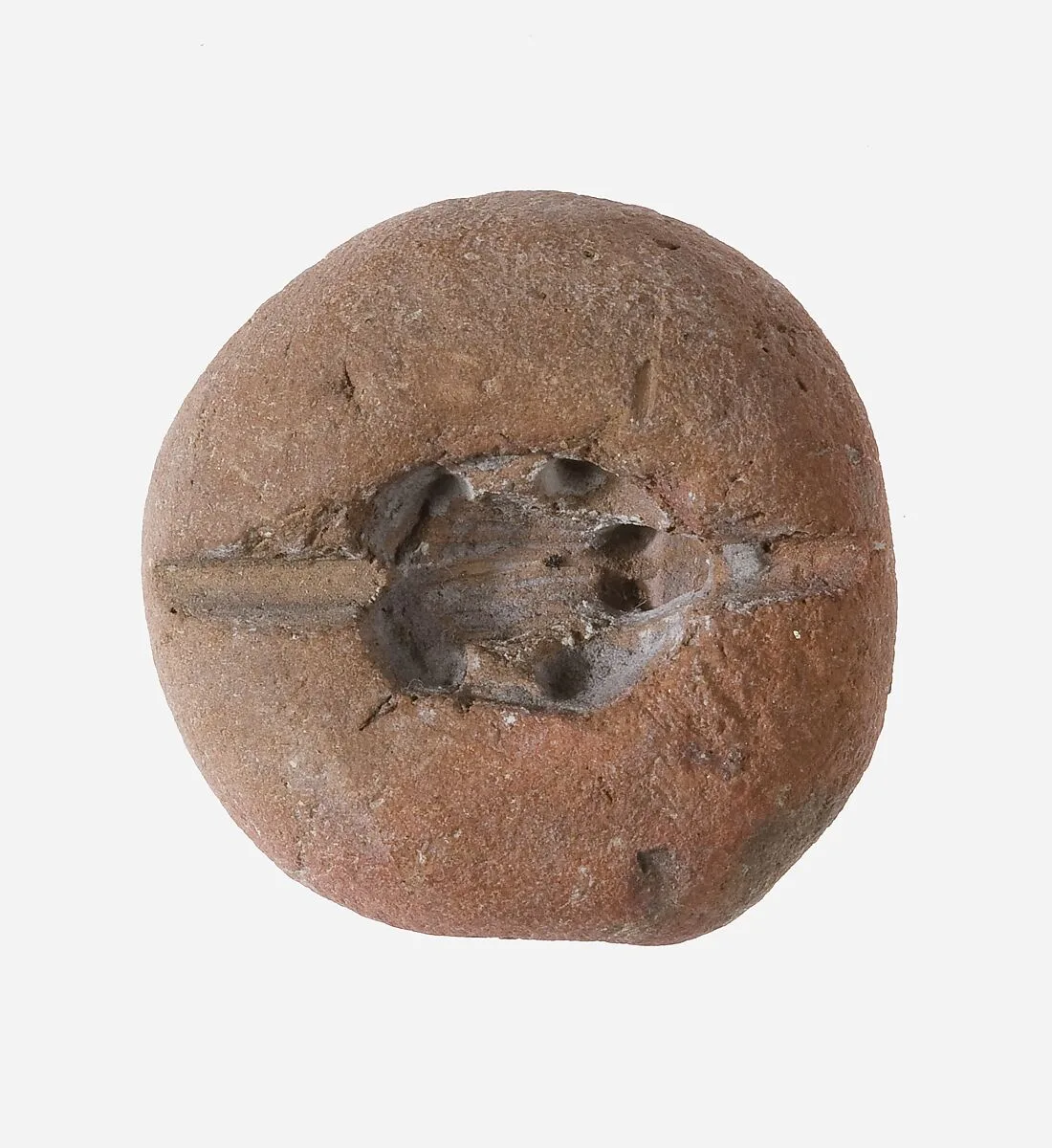 Frog Mold — Unknown