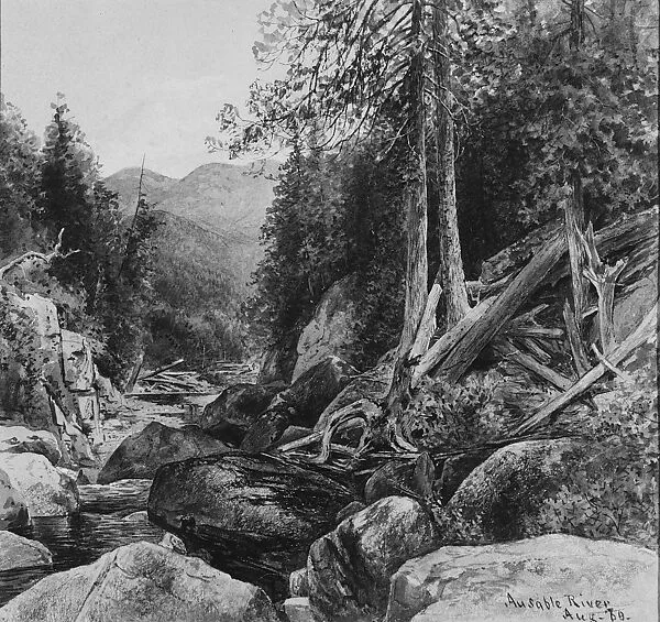 Ausable River — George Henry Smillie