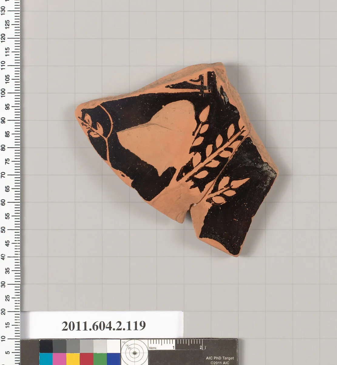 Terracotta fragment of a pelike (jar) — Unknown