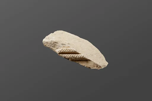 Relief fragment possibly from the tomb of Mereri