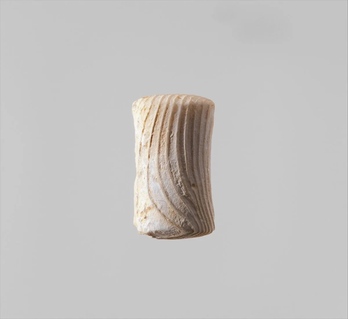 Shell pestle/polisher — Unknown