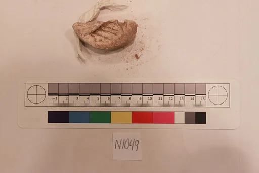 Stucco Fragment
