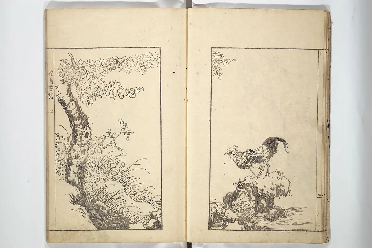 宋紫石画譜|Sō Shiseki Picture Album (Sō Shiseki gafu) 宋紫石画譜 — Sō Shiseki 宋紫石