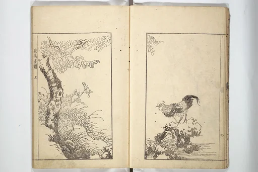 宋紫石画譜|Sō Shiseki Picture Album (Sō Shiseki gafu) 宋紫石画譜