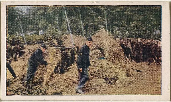Card No. 28, Belgian Lancers Building Shelter of Lances and Sheaves at Haelen, from the World War I Scenes series (T121) issued by Sweet Caporal Cigarettes — Underwood & Underwood|American Tobacco Company