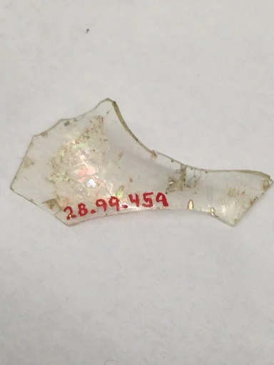 Fragment