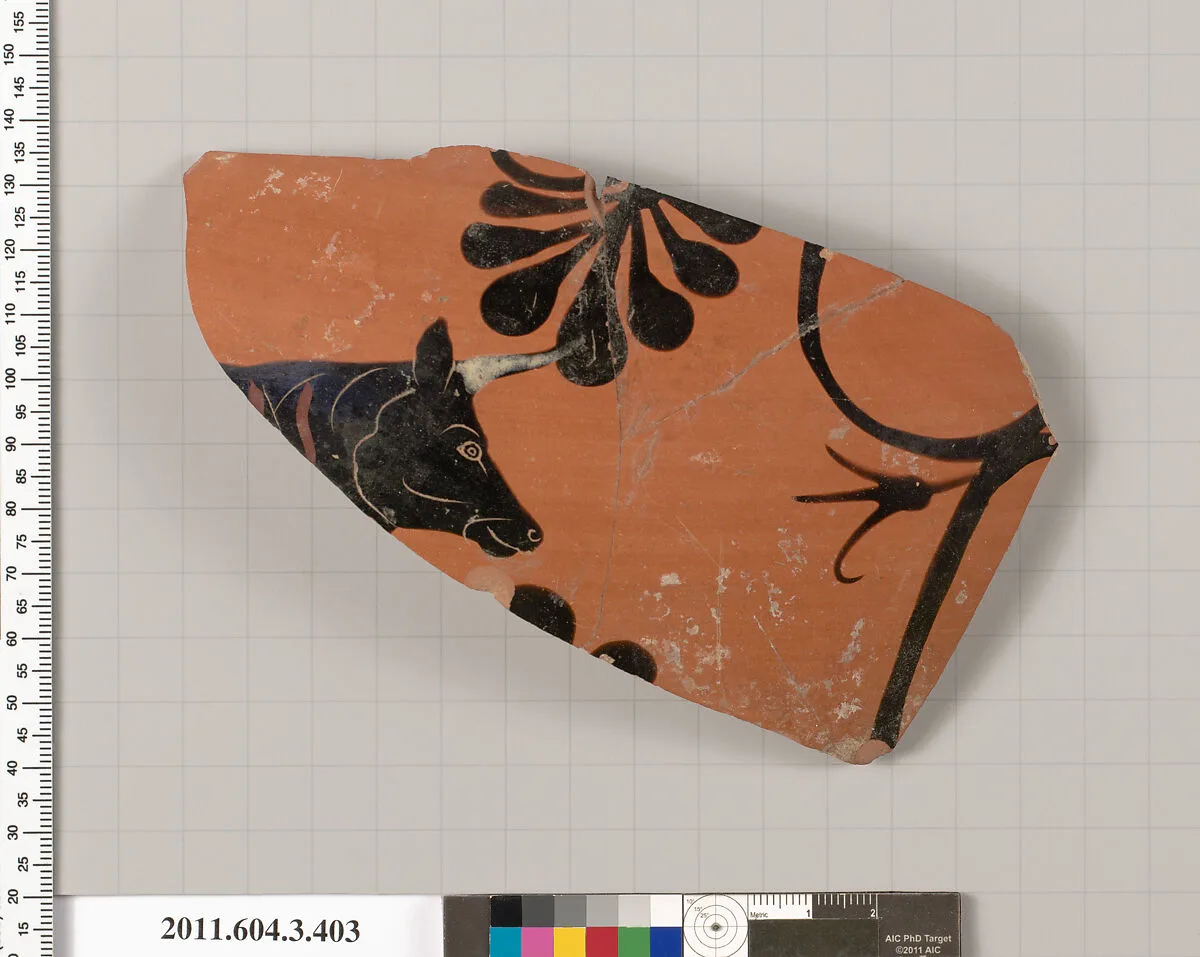 Terracotta fragment of a neck-amphora (jar) — Unknown