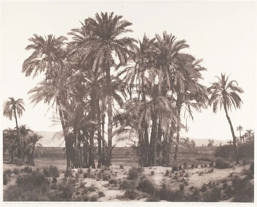 Karnak, Groupe de Dattiers Vu du Point A