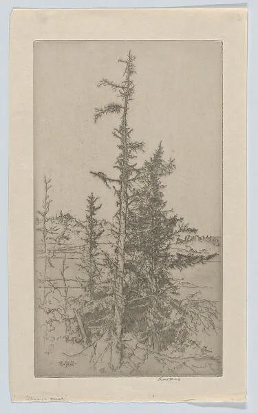 Through the Mist — Ernest Haskell