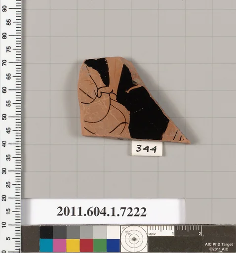 Terracotta fragment of a kylix (drinking cup)