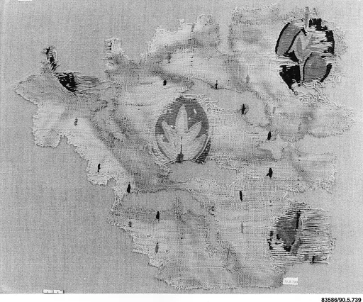 Textile Fragment