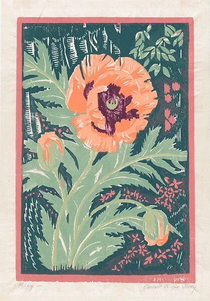 Poppy — Carroll Thayer Berry