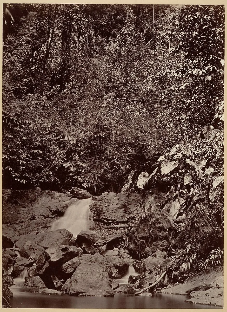 Tropical Scenery, Cascade, Limon River — John Moran