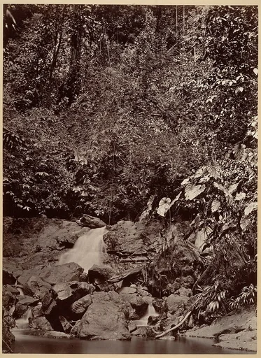 Tropical Scenery, Cascade, Limon River