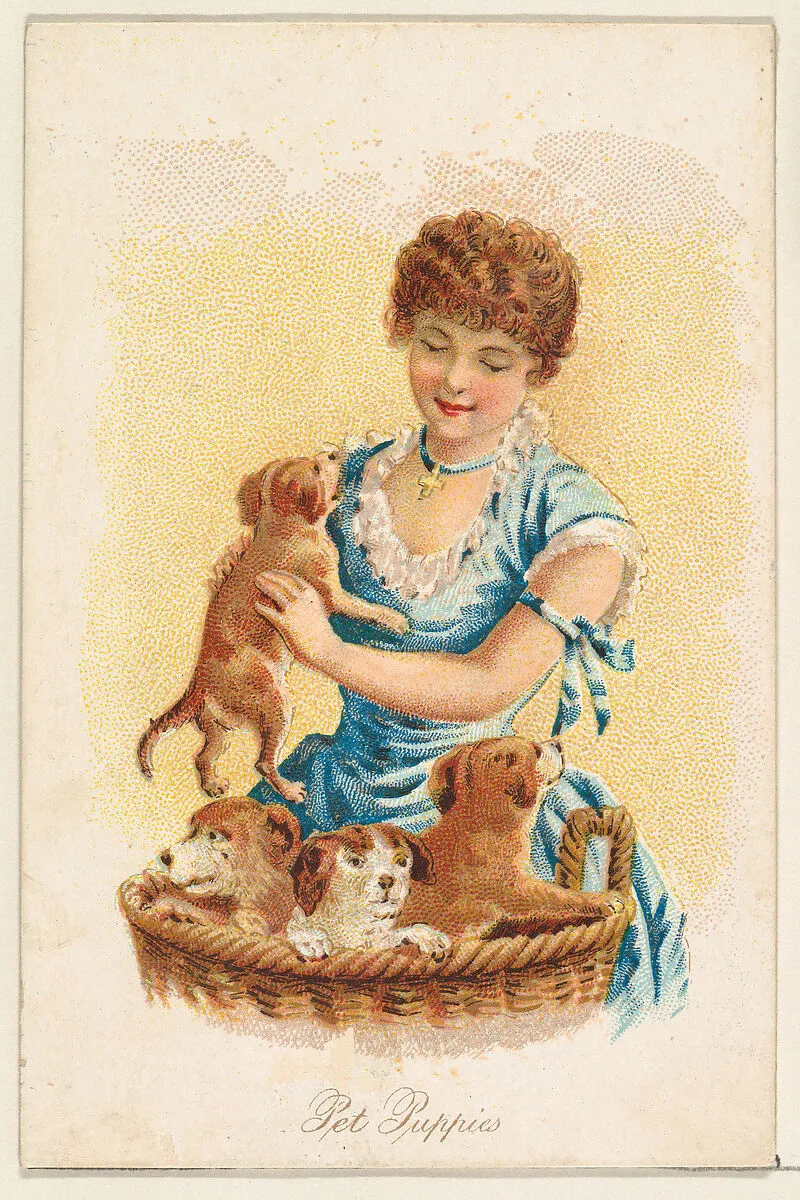 Pet Puppies, from the Household Pets series (N194) issued by Wm. S. Kimball & Co. — American Tobacco Company|Julius Bien & Co.|William S. Kimball & Company