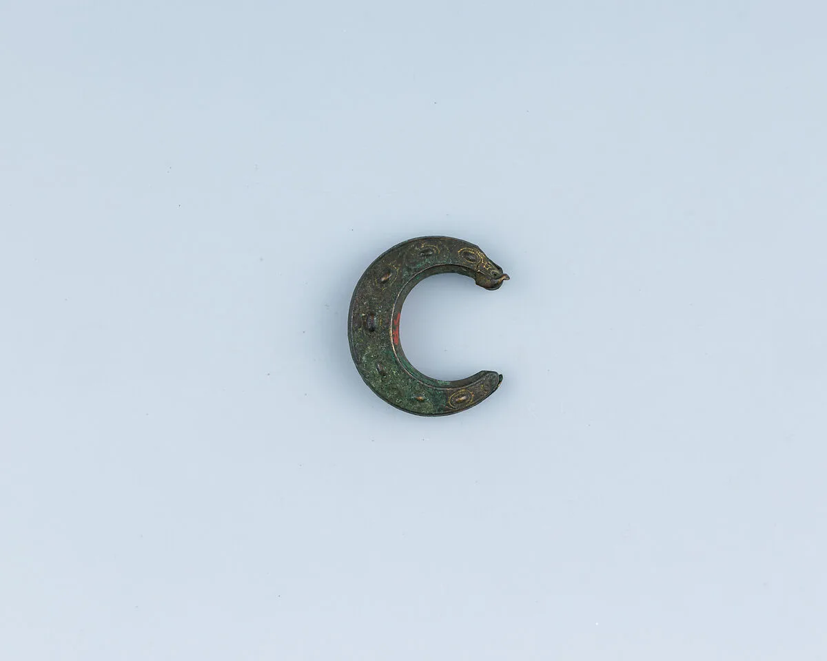 Buckle Loop — Unknown