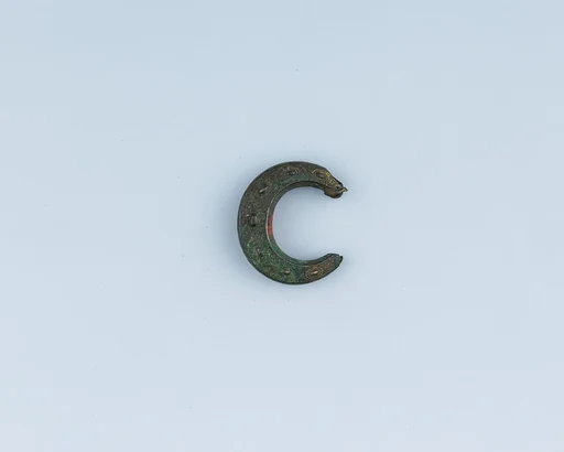Buckle Loop