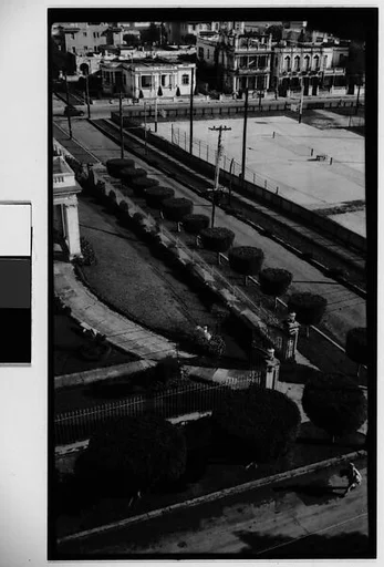 [Street with Topiaries, From Elevated Position, Havana]