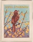 Song Sparrow from Eggers Bird Booklets (W607) — Unknown