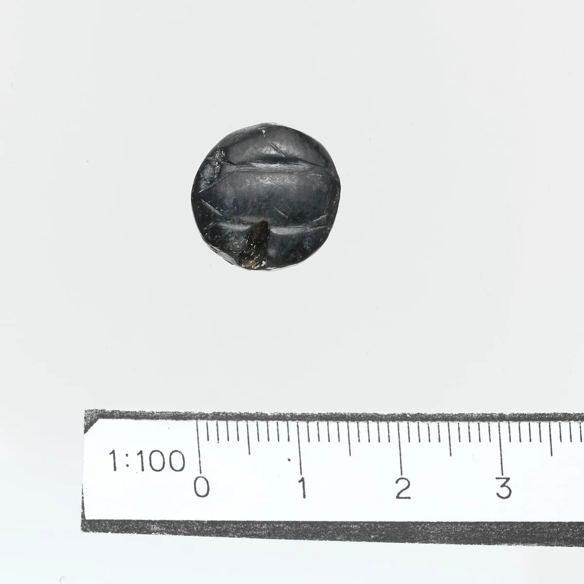 Seal — Unknown