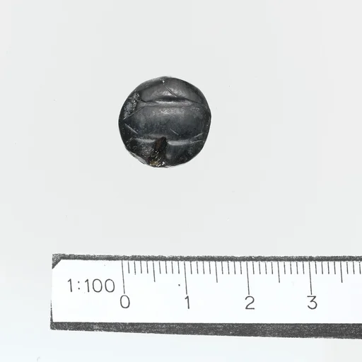 Seal