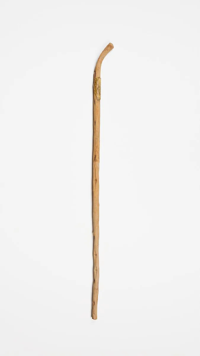 Walking stick — Unknown
